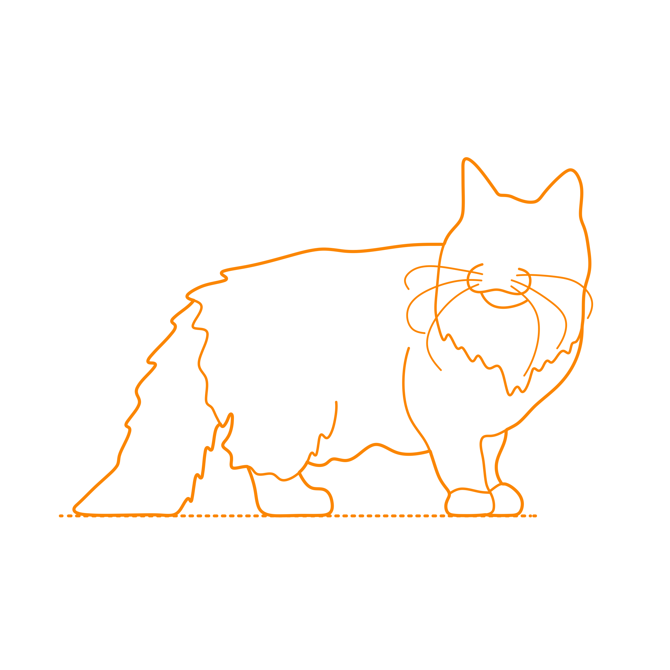 Animals Cats Norwegian Forest Cat Outline Svg Vector Free Vectors